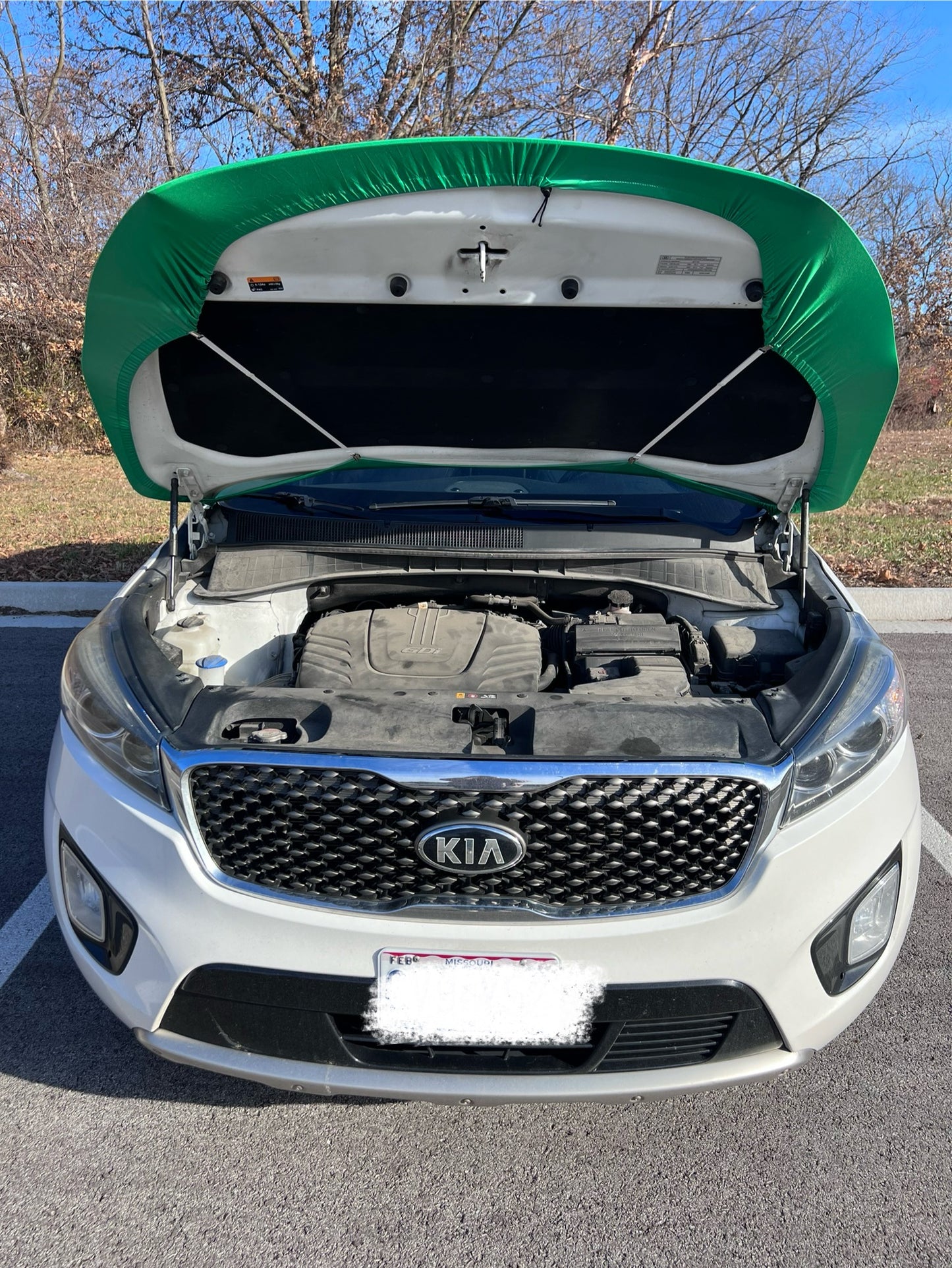 Boston Celtics Basketball Car Hood Cover