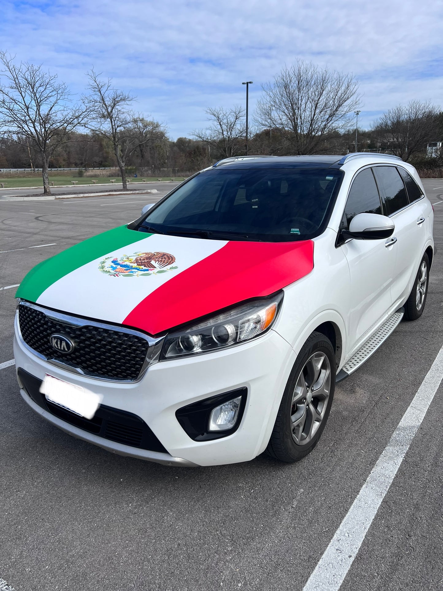 Mexico Flag Car Hood Cover