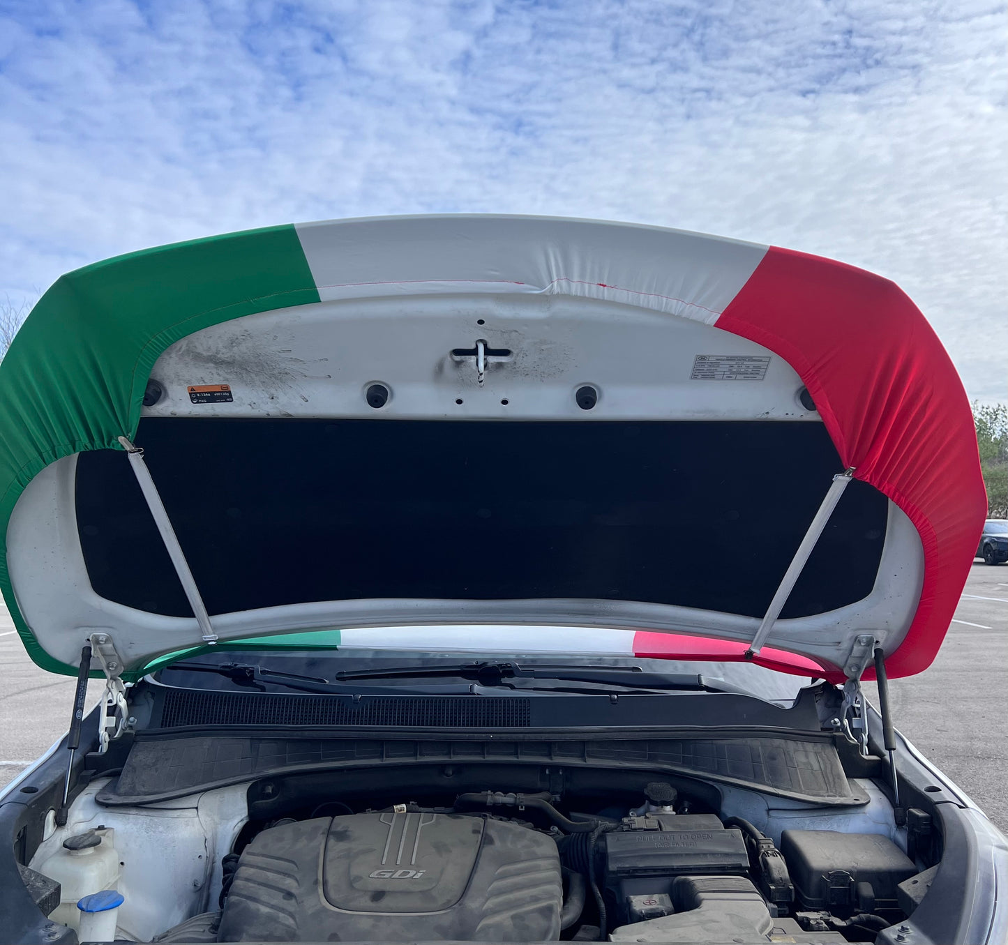 Mexico Flag Car Hood Cover