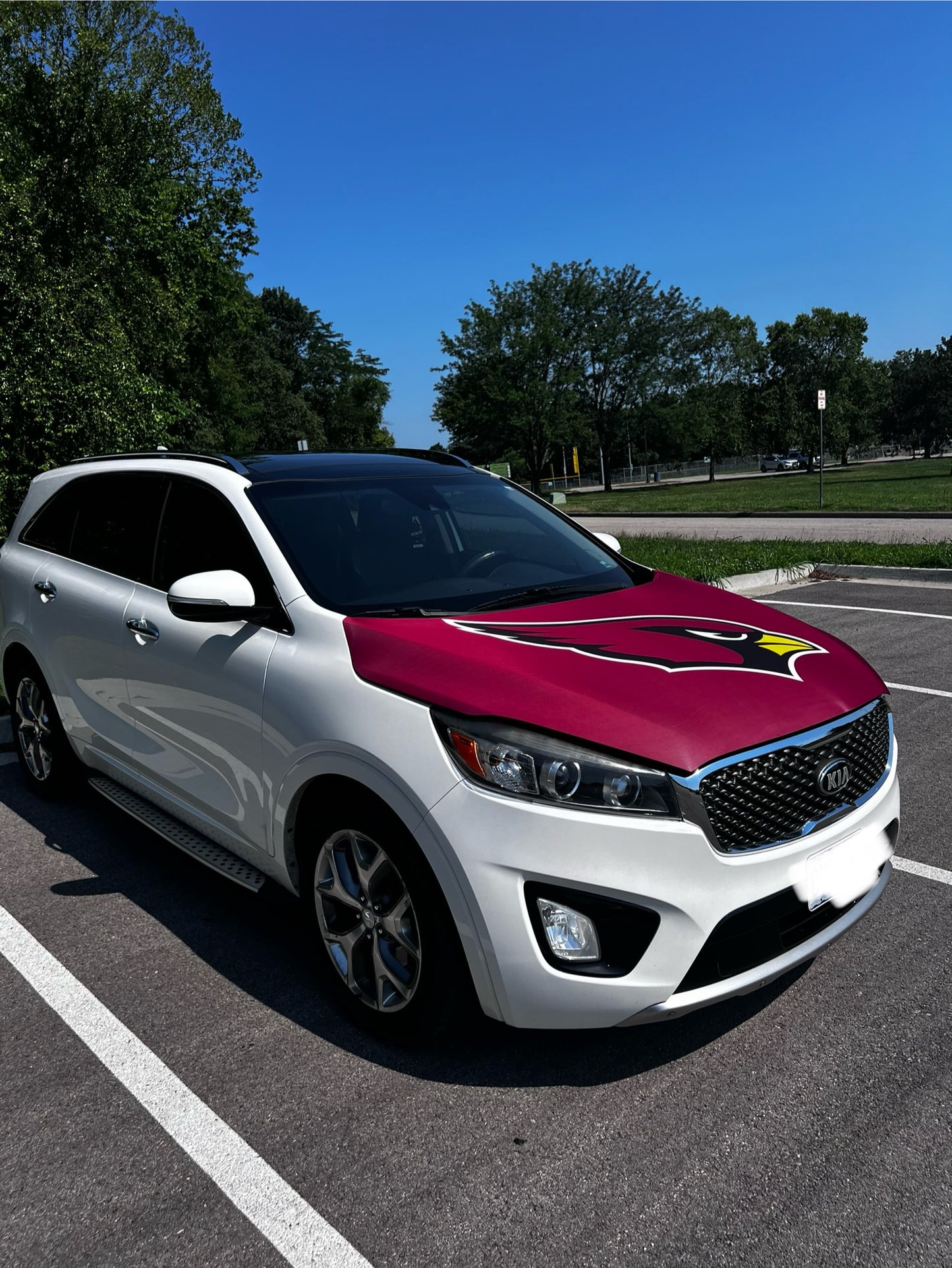 Arizona Cardinals Car Hood Cover