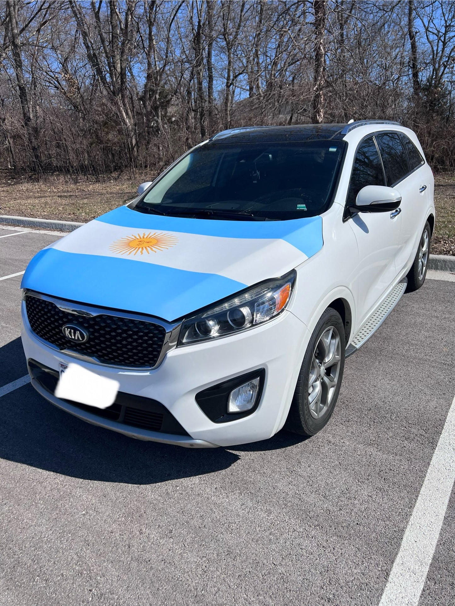 Argentina Flag Car Hood Cover