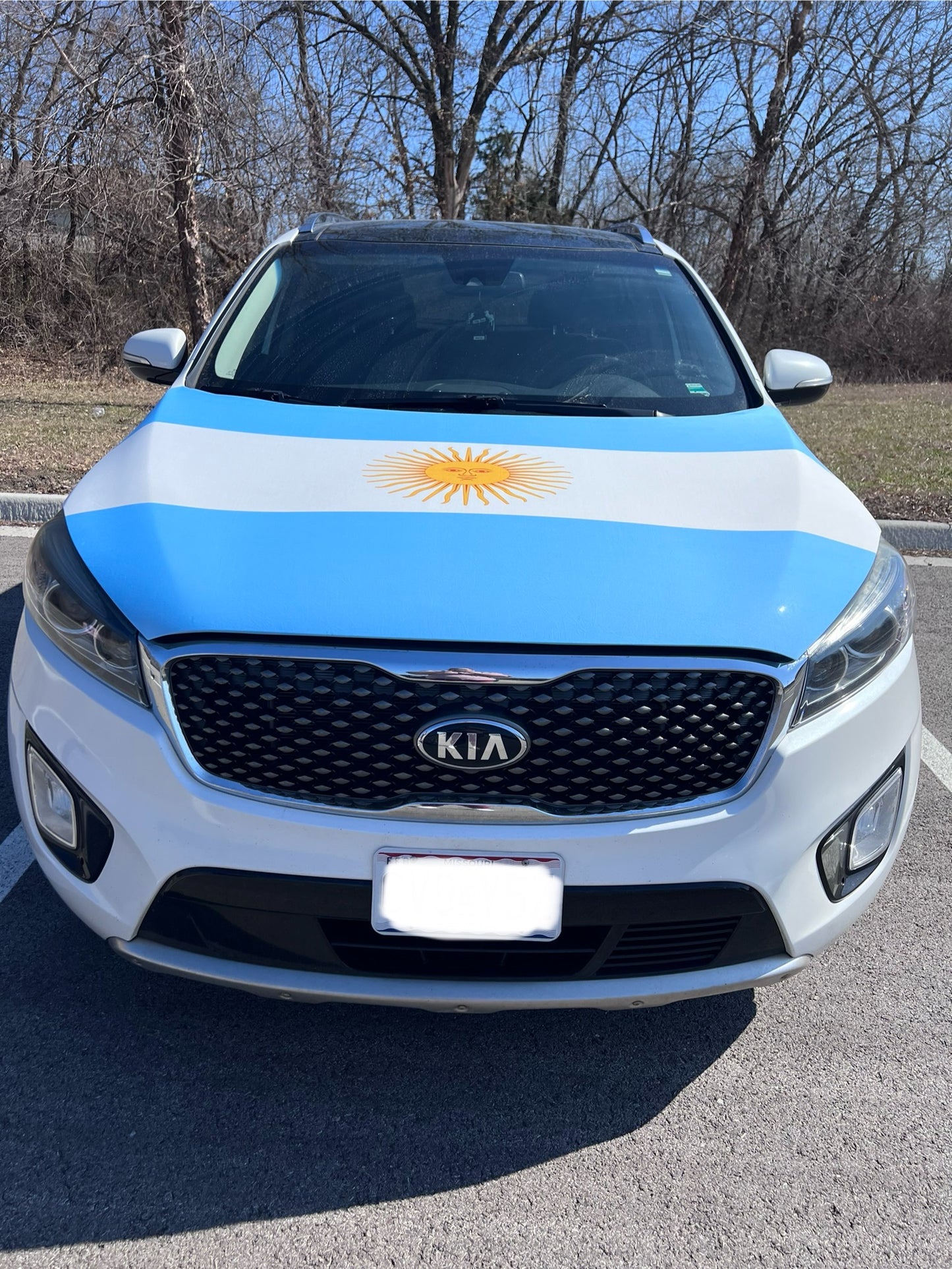 Argentina Flag Car Hood Cover