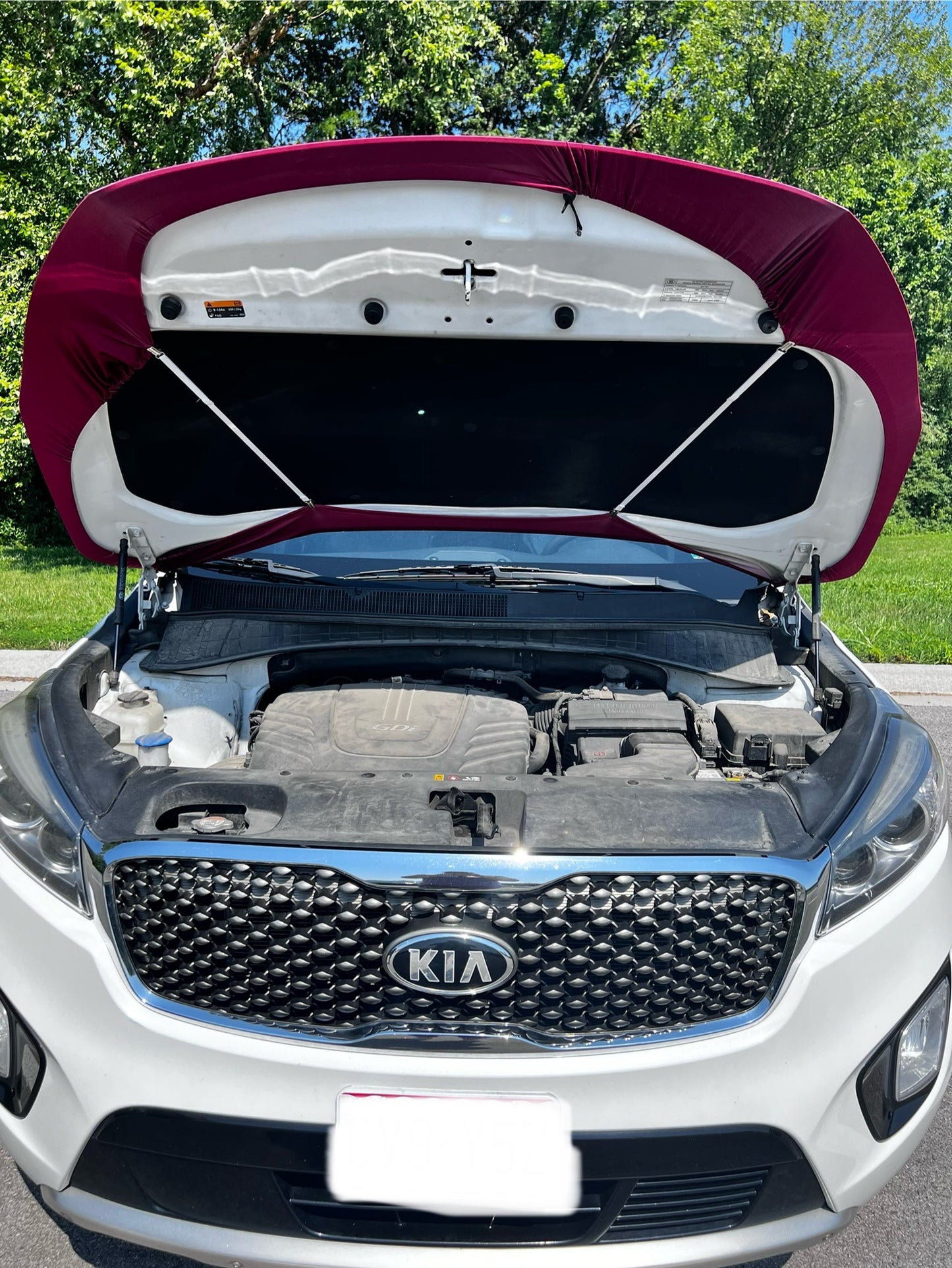 Arizona Cardinals Car Hood Cover