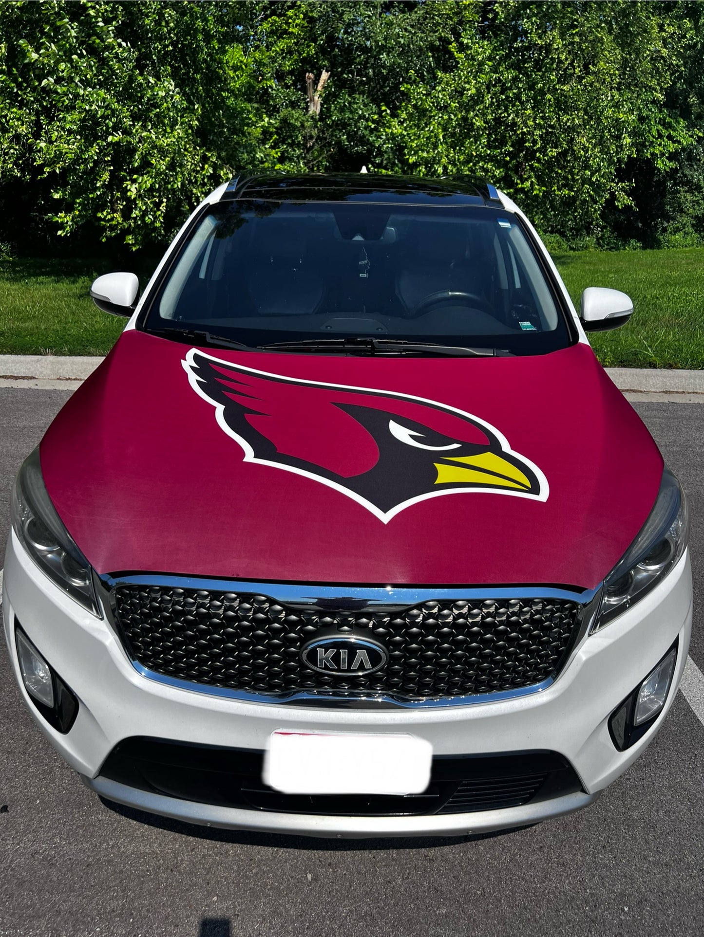 Arizona Cardinals Car Hood Cover