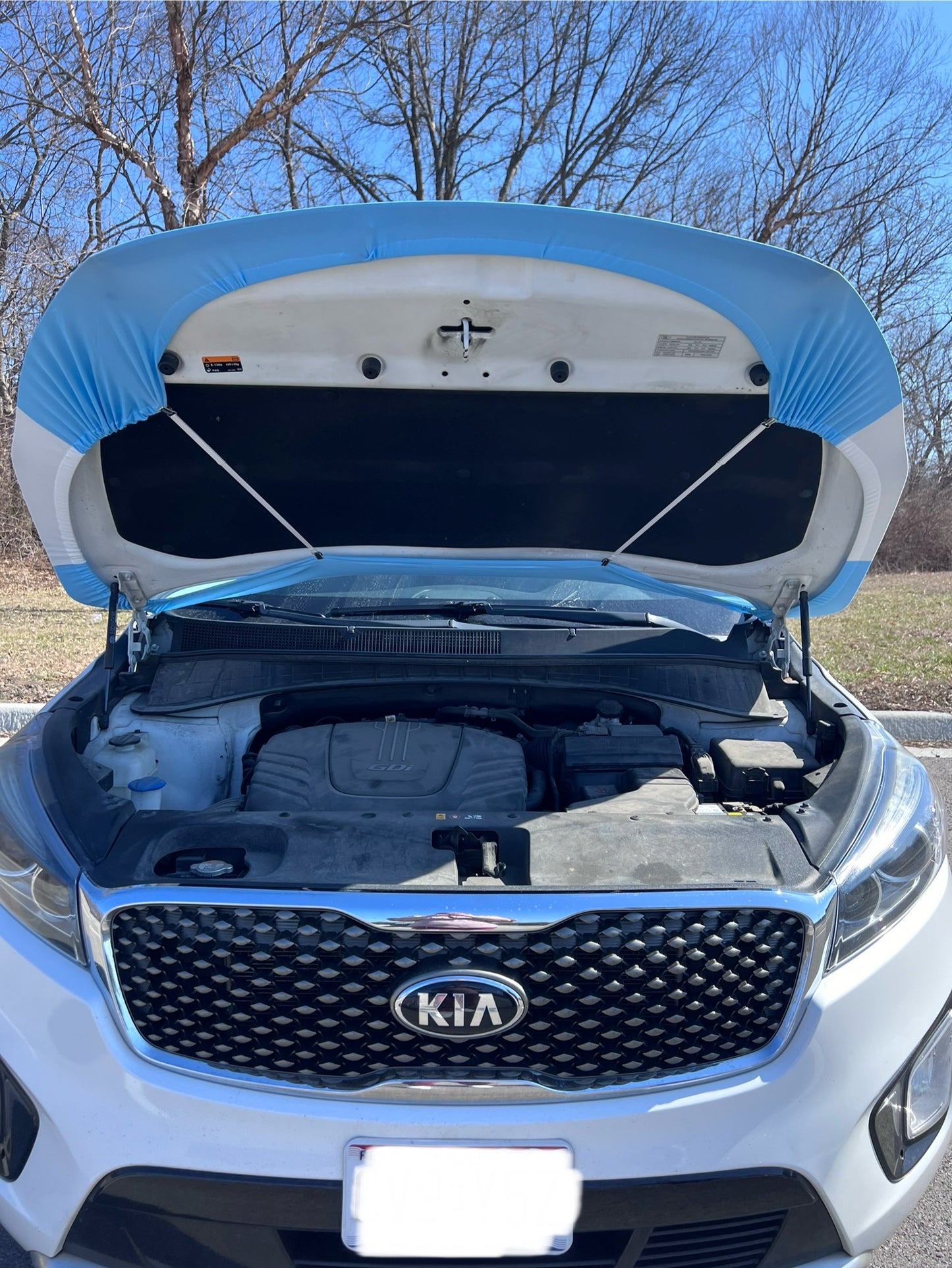 Argentina Flag Car Hood Cover