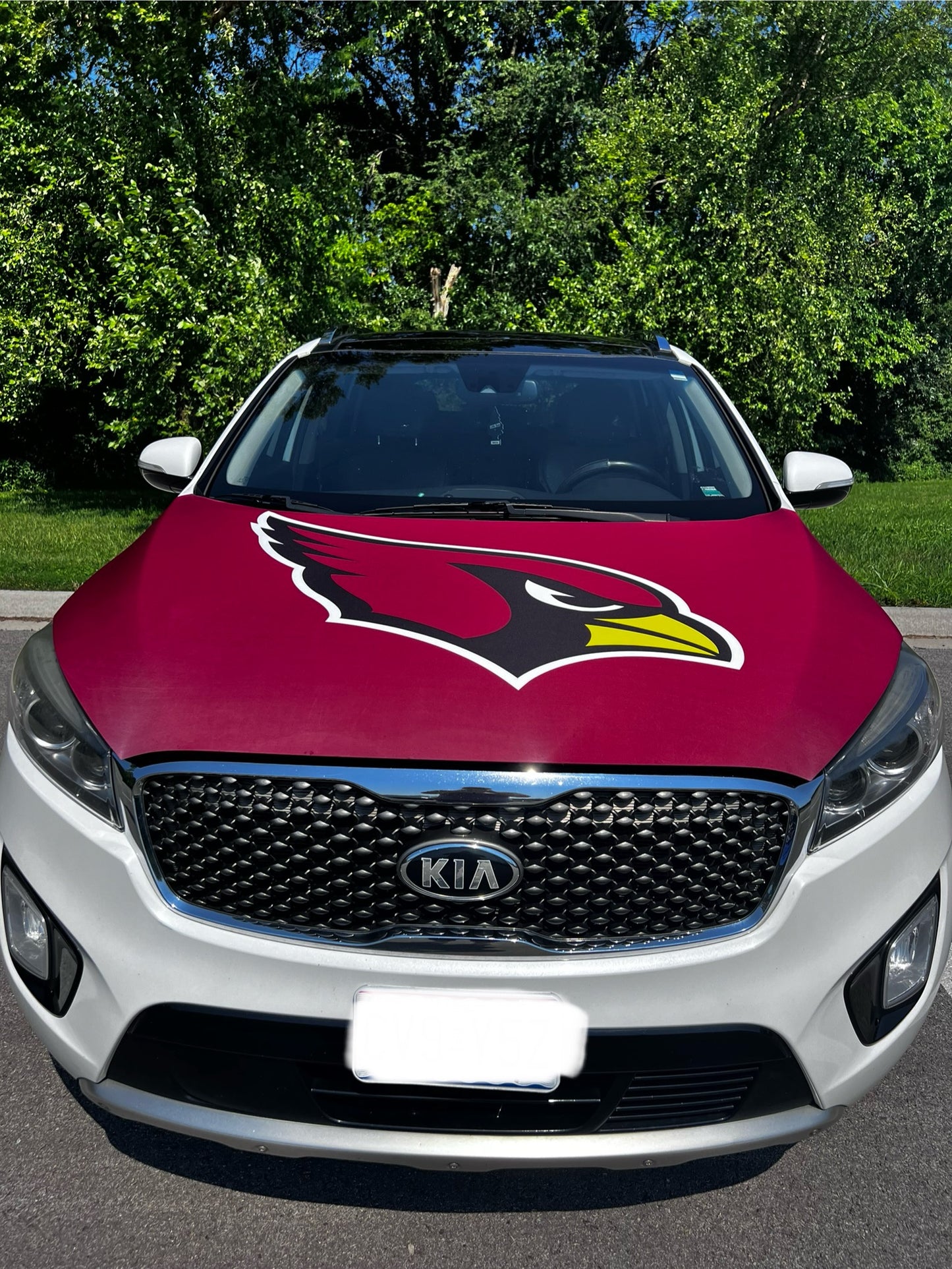 Arizona Cardinals Car Hood Cover