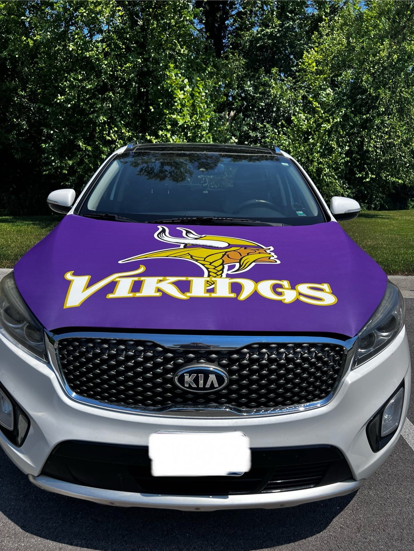 Minnesota Vikings Car Hood Cover