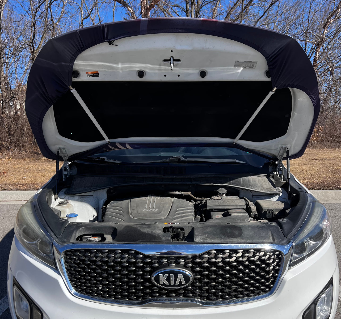 American Flag & Eagle Car Hood Cover