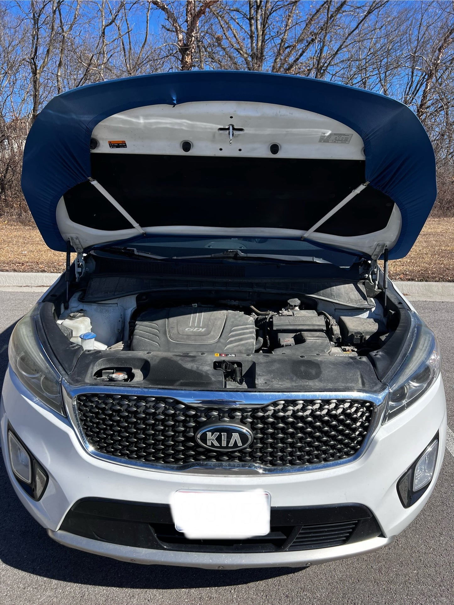 Tennessee Titans (with name) Car Hood Cover