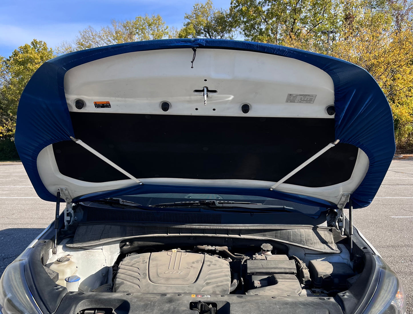 Seattle Seahawks Car Hood Cover