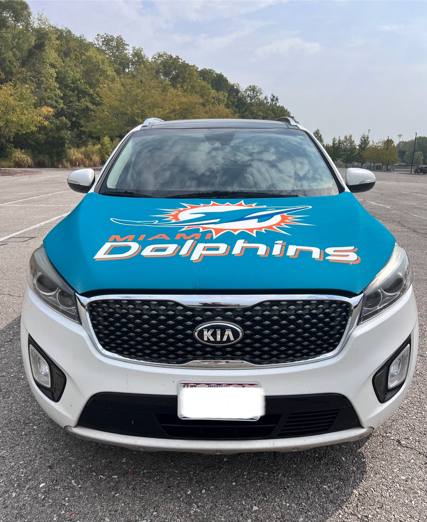 Miami Dolphins Car Hood Cover