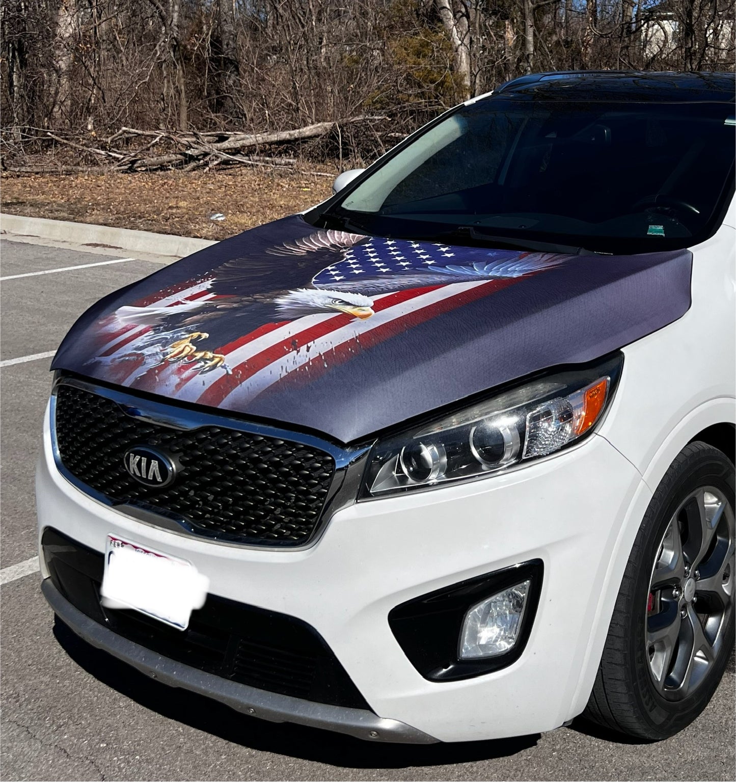 American Flag & Eagle Car Hood Cover