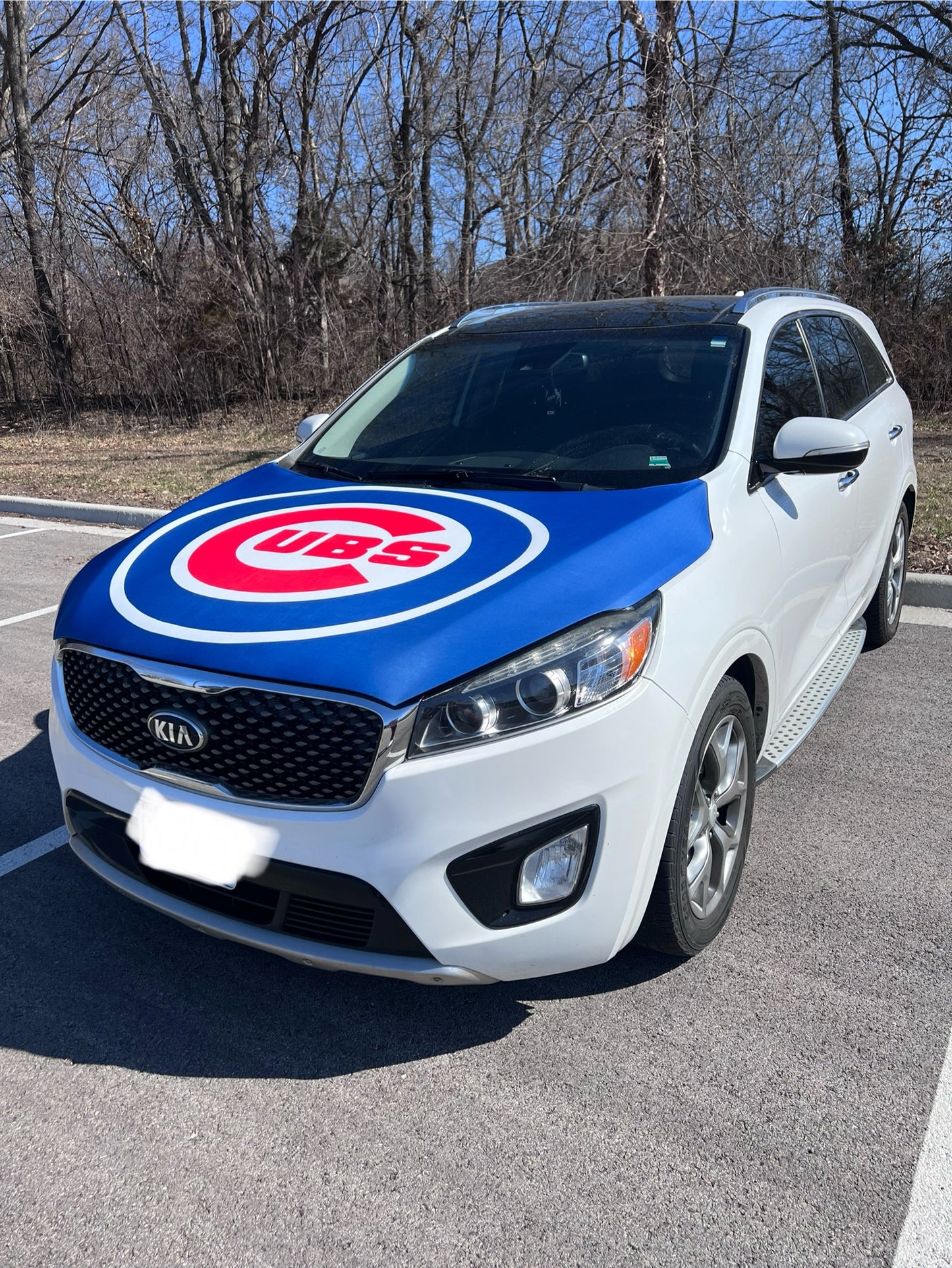 Chicago Cubs Baseball Car Hood Cover