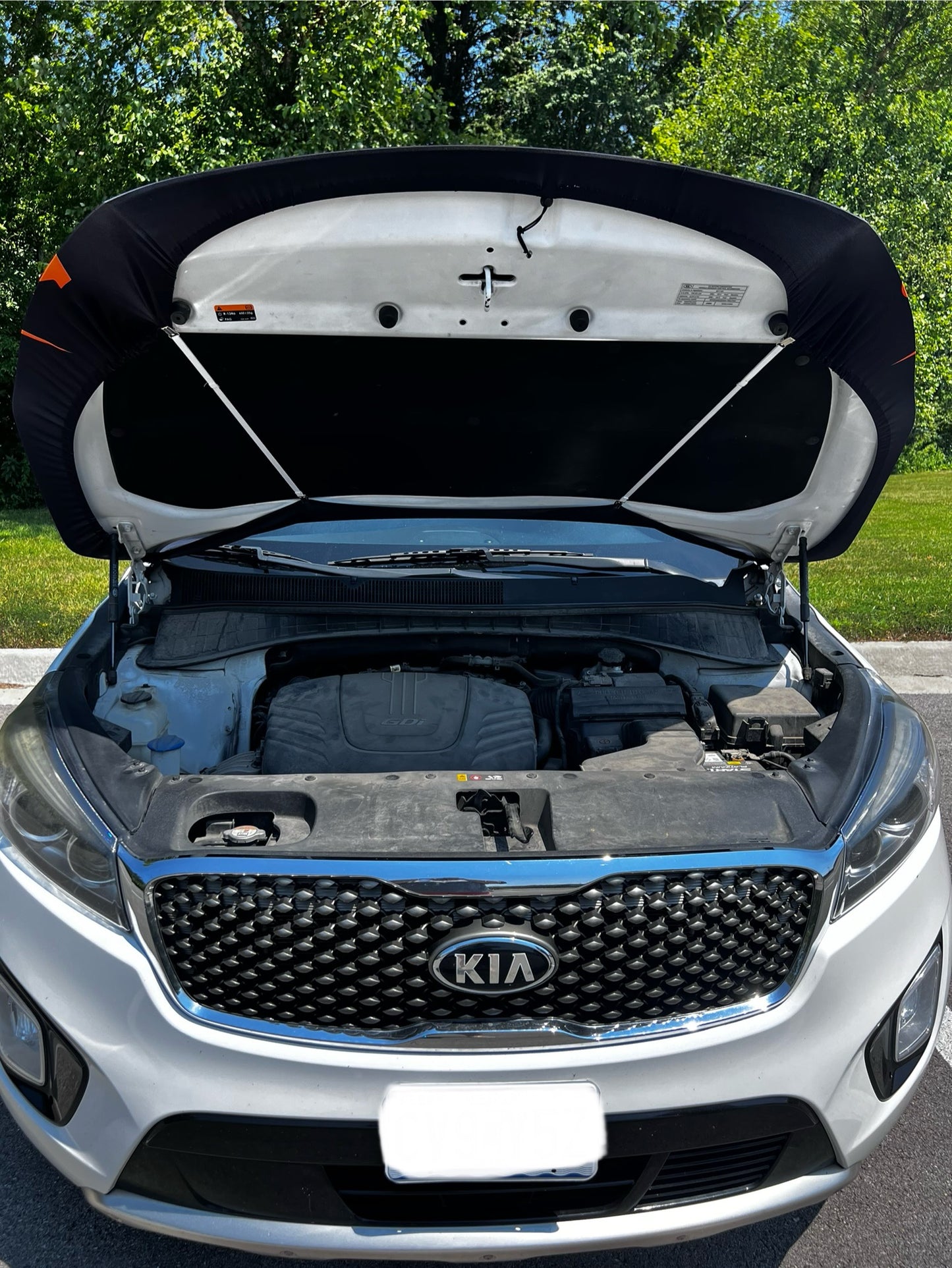 Cincinnati Bengals Car Hood Cover