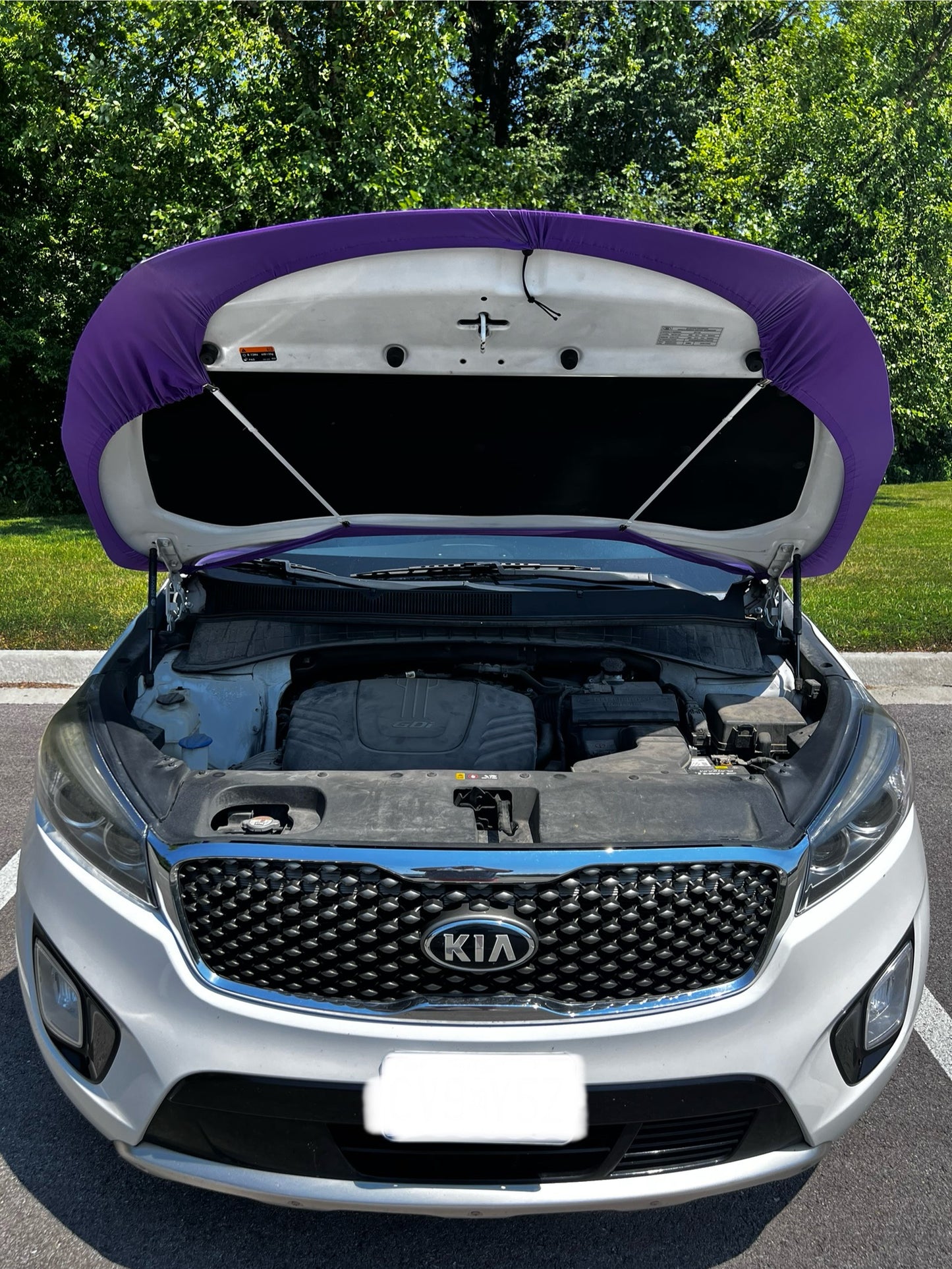 Minnesota Vikings Car Hood Cover