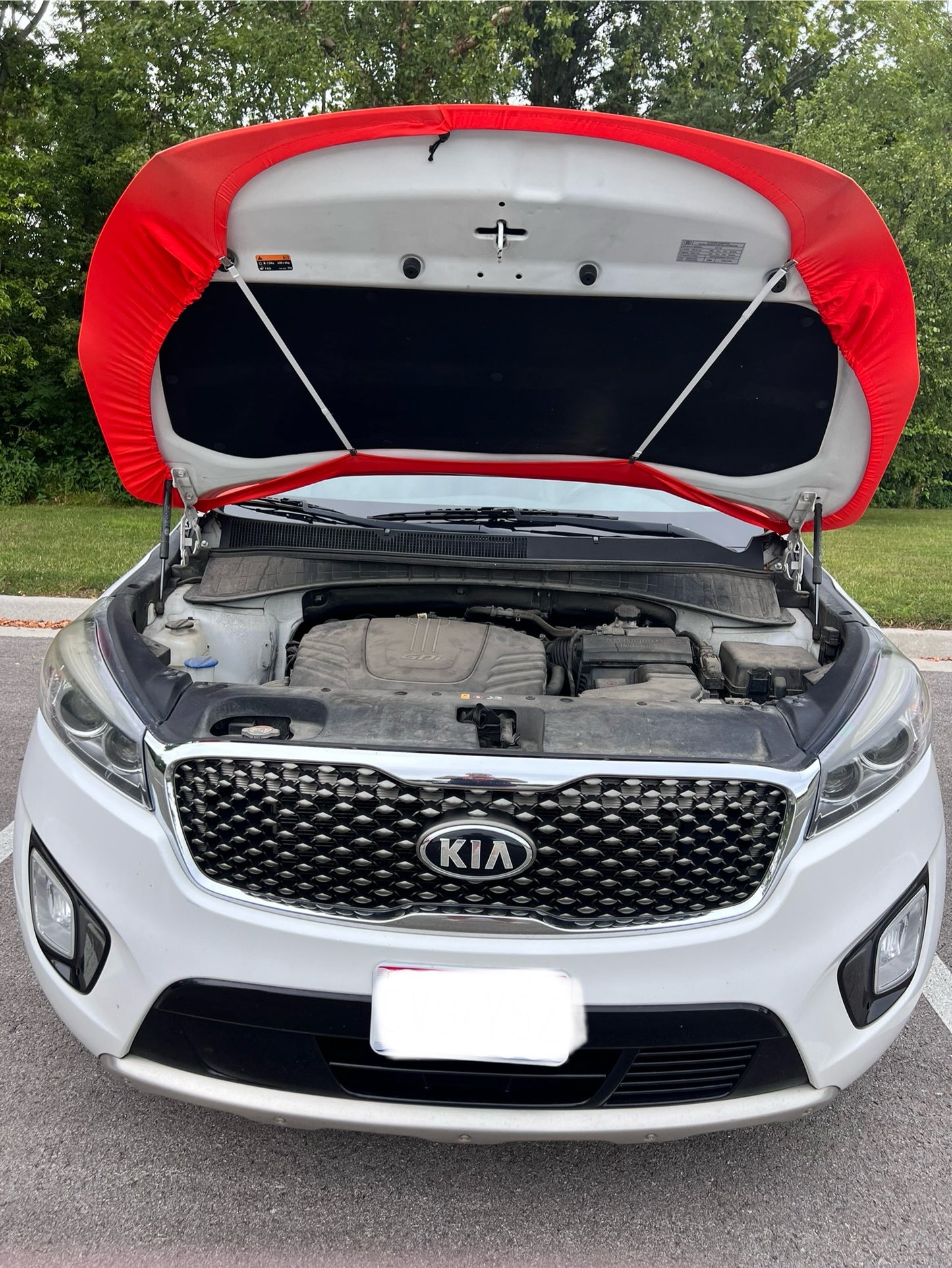 Cleveland Browns Car Hood Cover