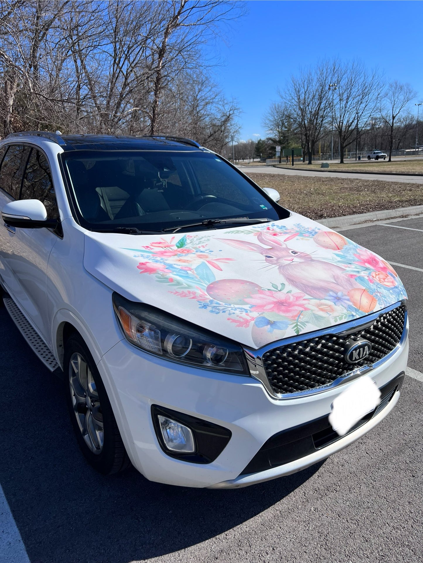 Floral Easter Bunny Car Hood Cover