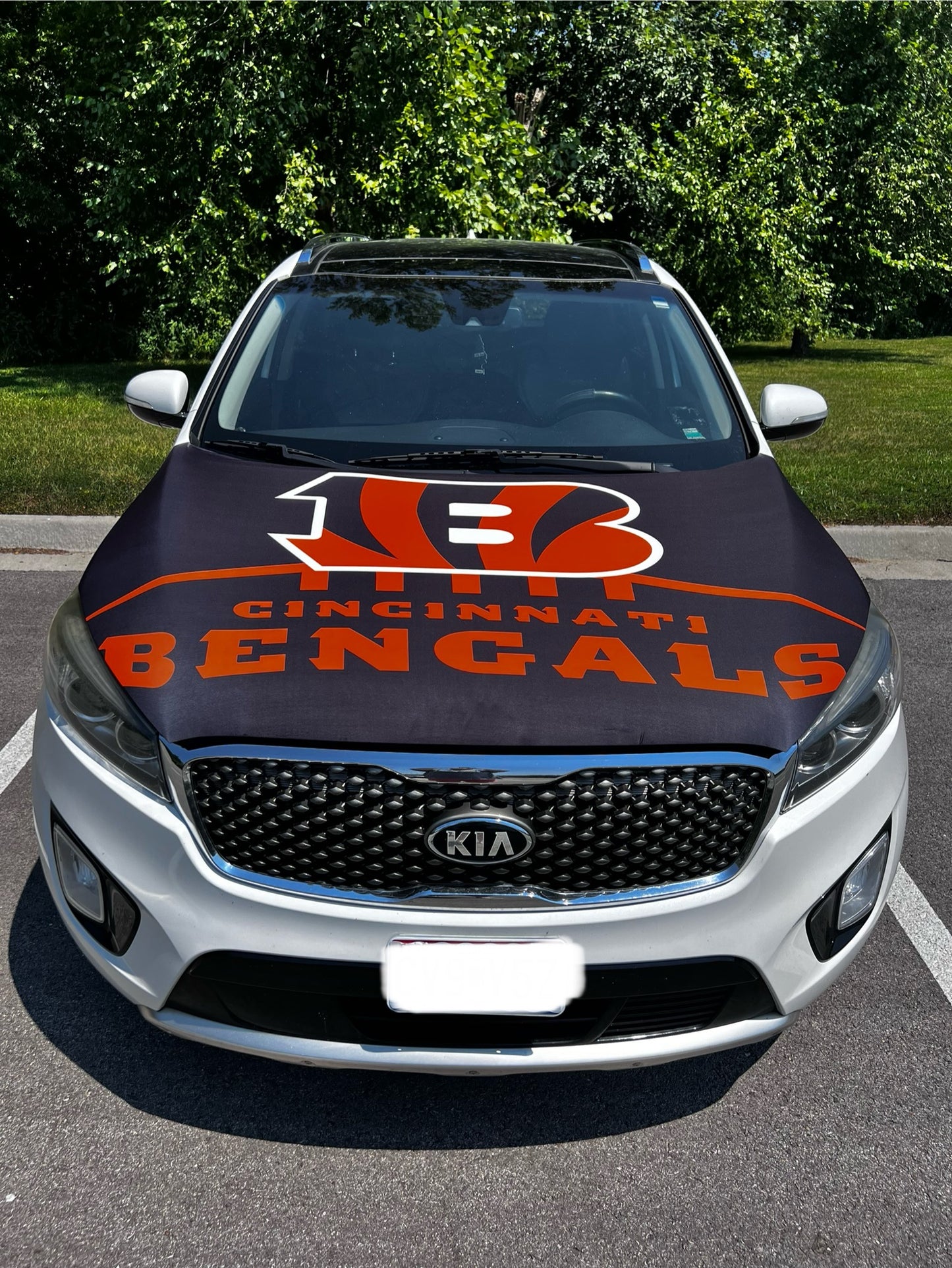 Cincinnati Bengals Car Hood Cover