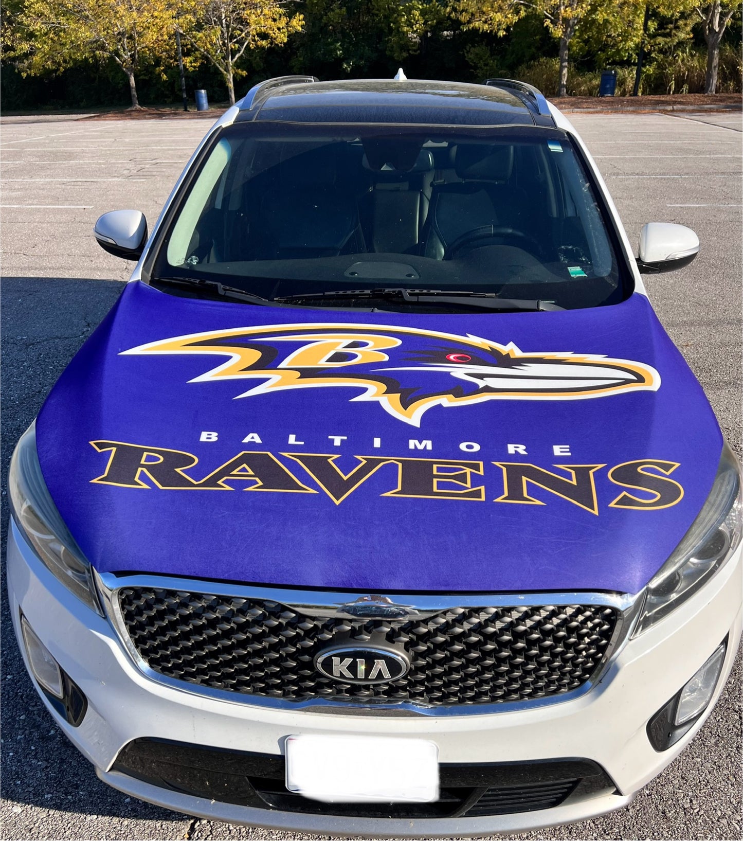 Baltimore Ravens Car Hood Cover