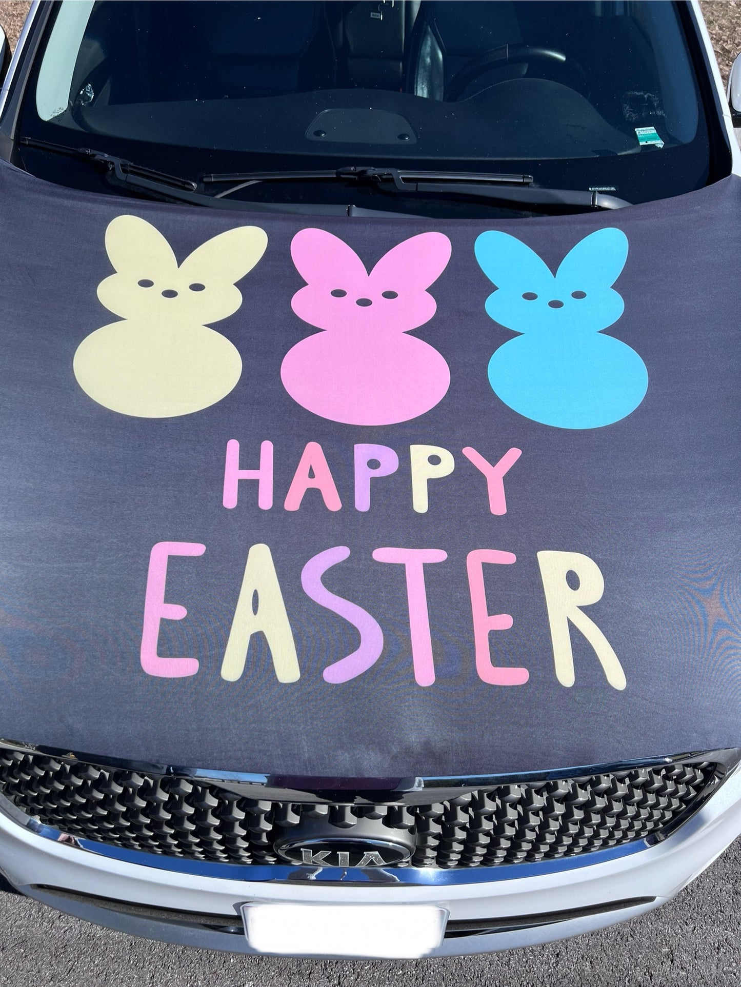 Happy Easter Peeps Car Hood Cover