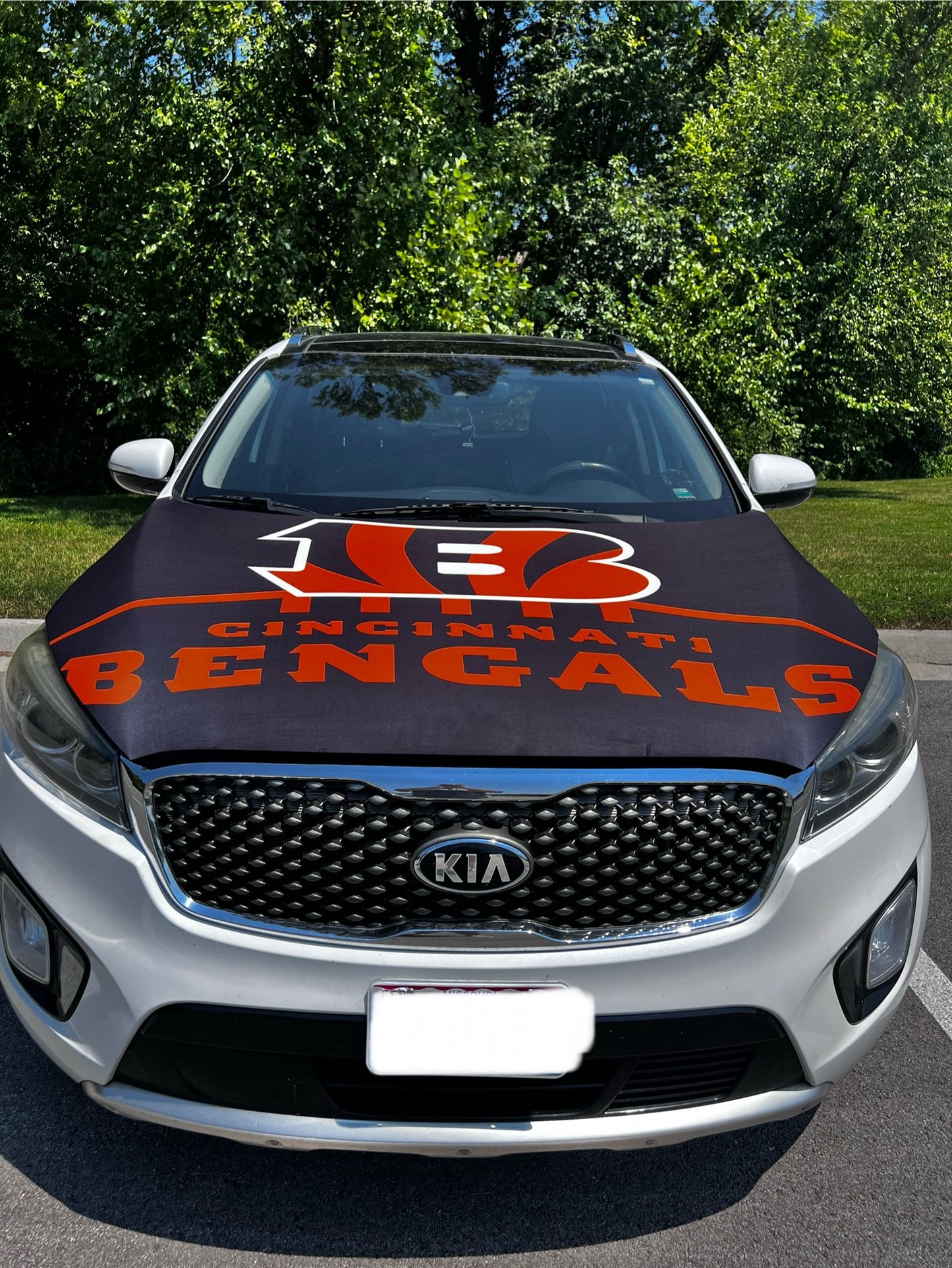 Cincinnati Bengals Car Hood Cover