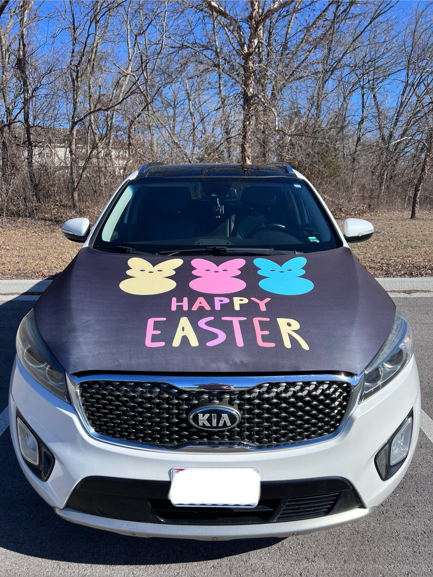 Happy Easter Peeps Car Hood Cover