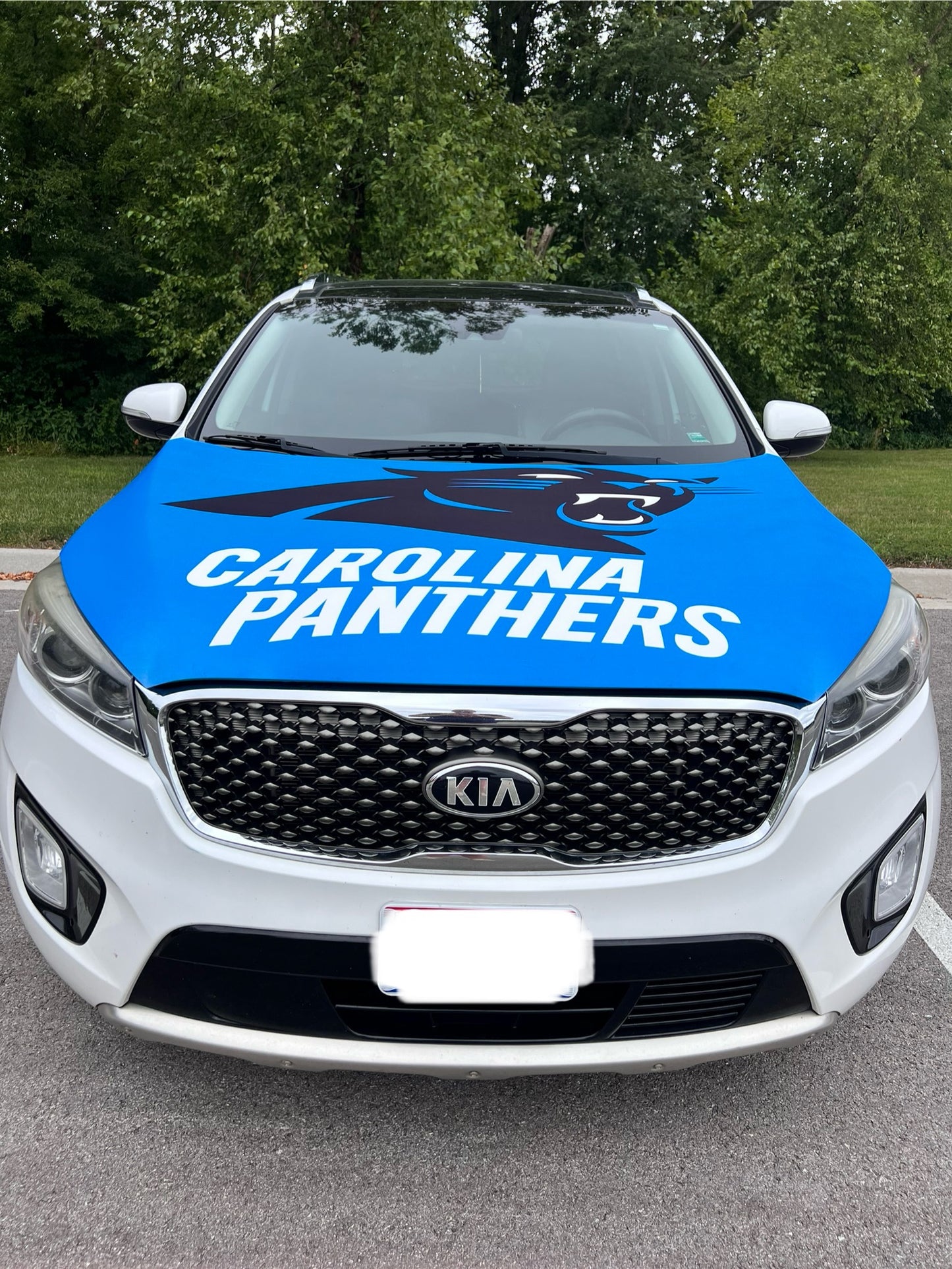 Carolina Panthers Car Hood Cover