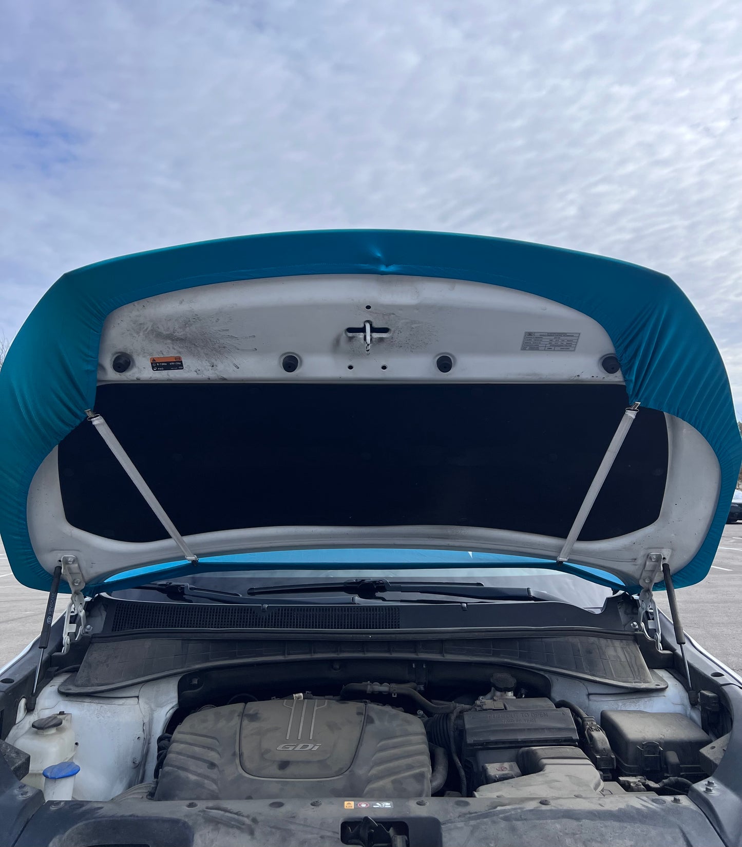 Miami Dolphins Car Hood Cover
